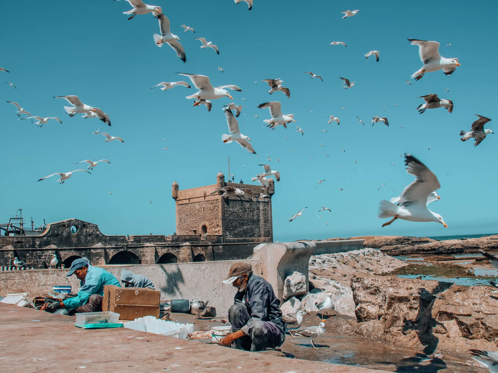 Marrakech to Essaouira Day Trip